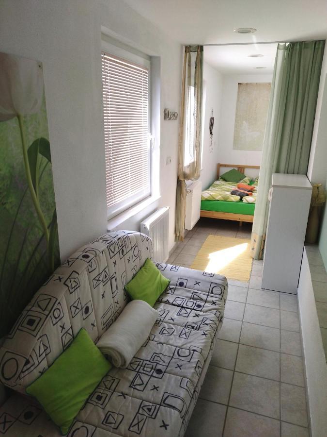 Apartma Peter1A Бегунье-на-Гореньскем Экстерьер фото